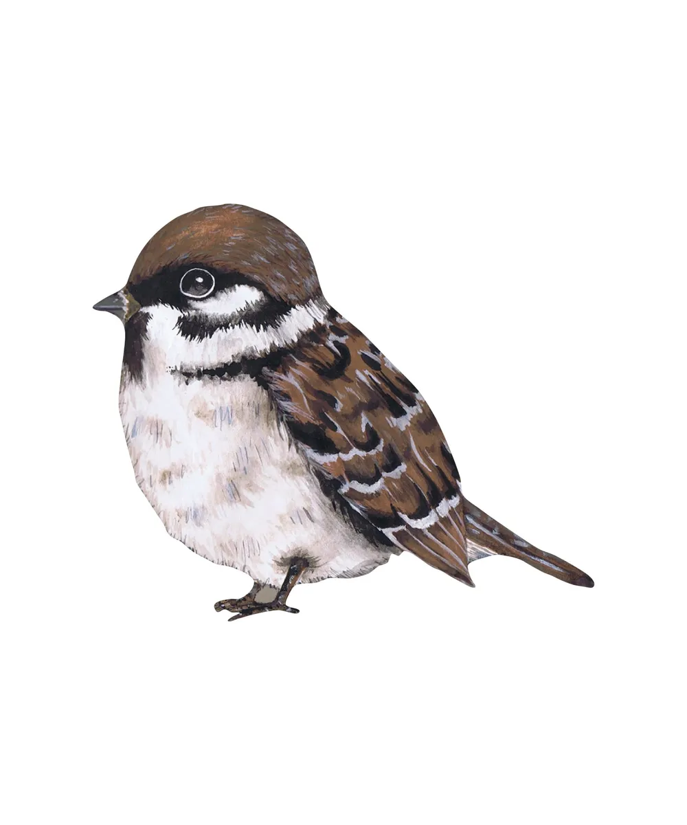 That's Mine - Wallsticker The waiting sparrow - Multi