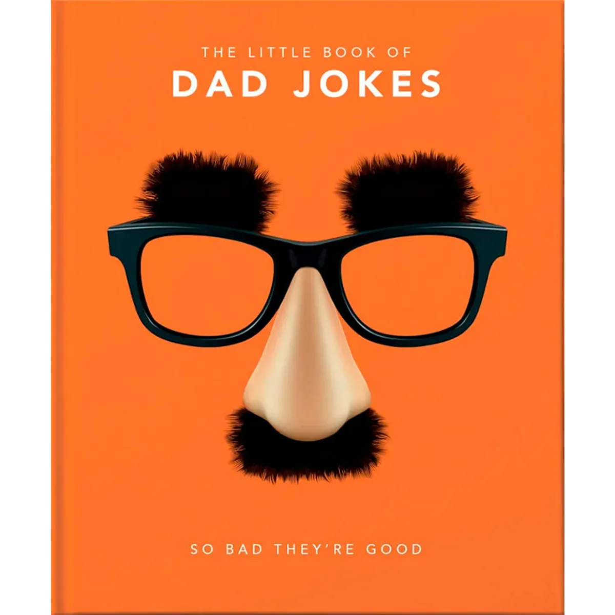 The Little Book of Dad Jokes