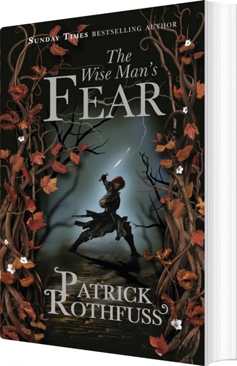 The Wise Man's Fear - Patrick Rothfuss - English Book