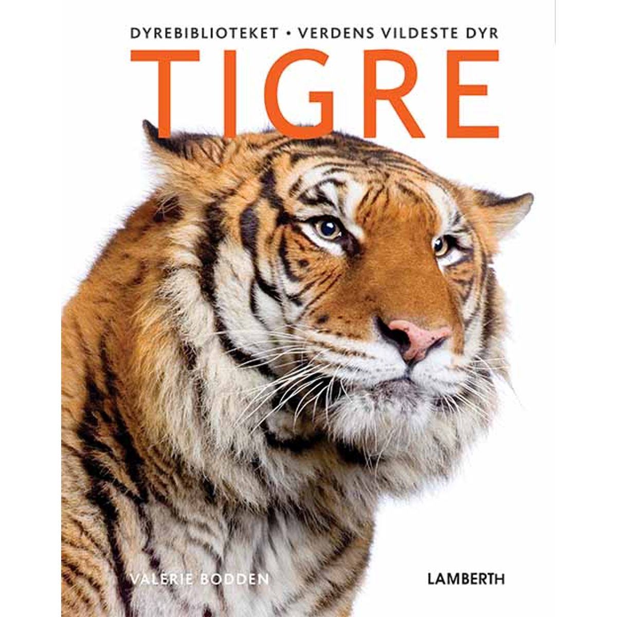 Tigre