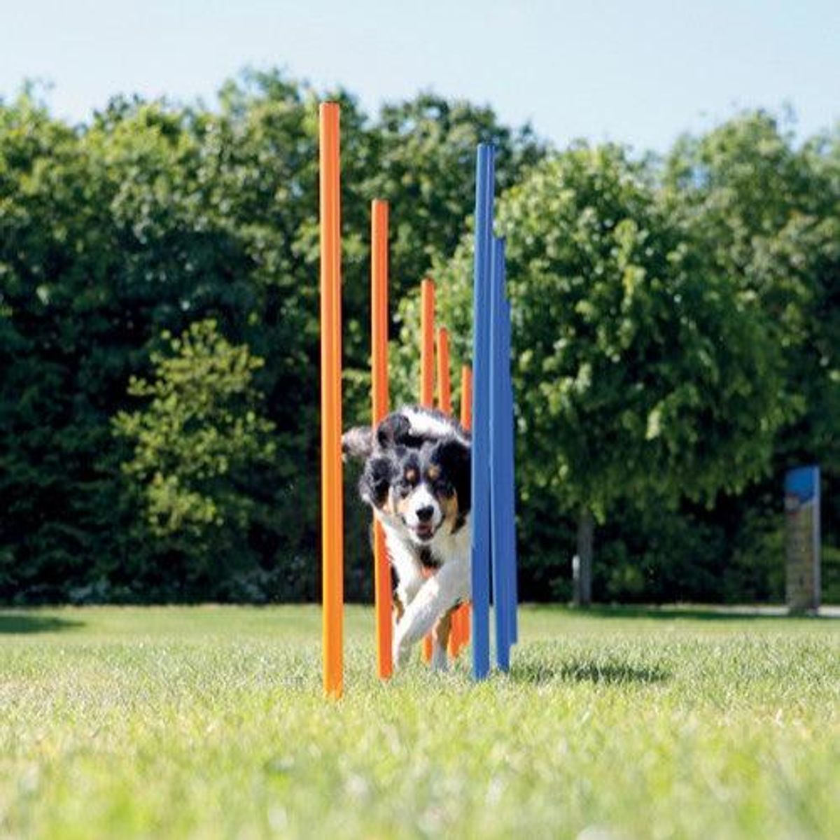 Trixie 12 Agility slalom pinde 115cm