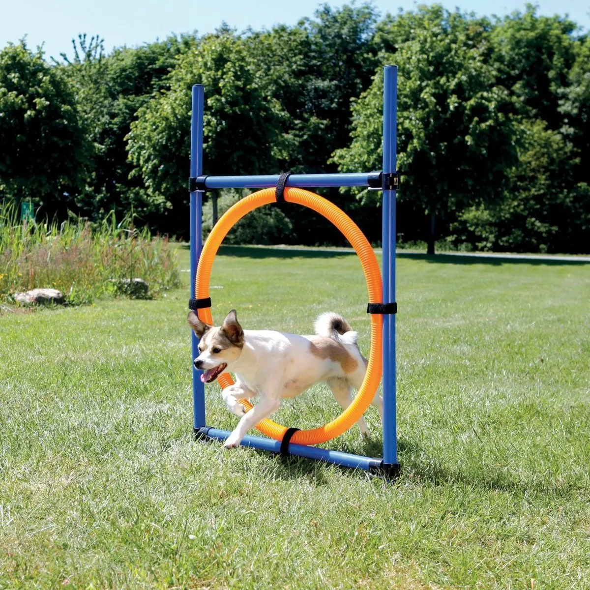 Trixie Agility Ring, ø65 cm