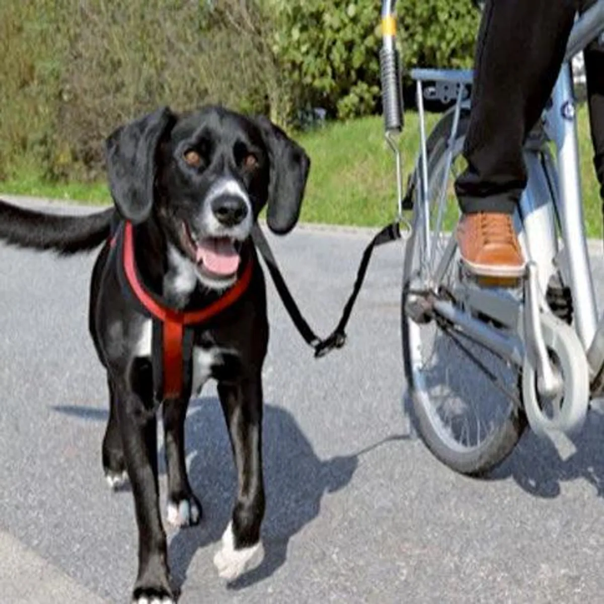 Trixie Biker-sæt de Luxe afstandshold