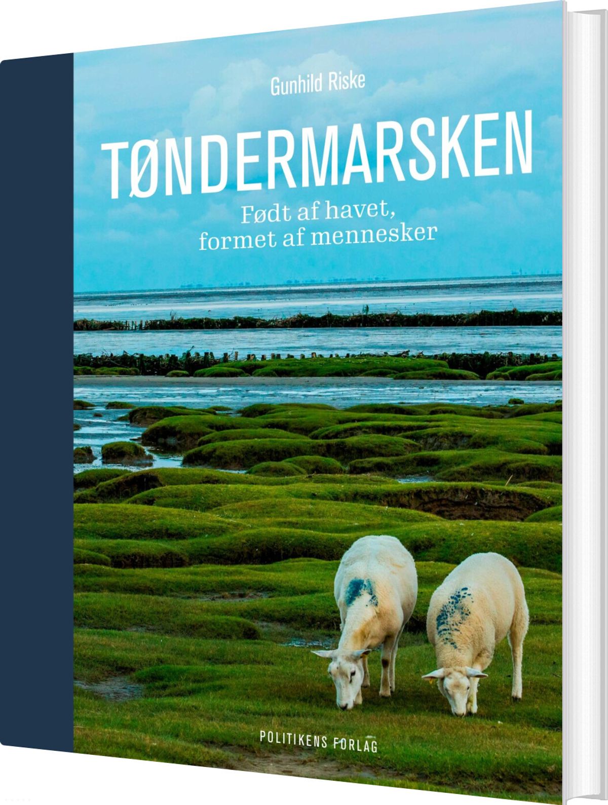 Tøndermarsken - Gunhild Riske - Bog