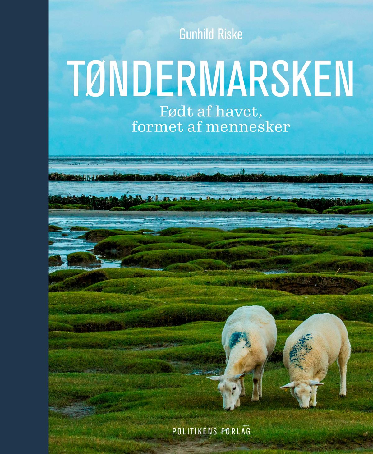 Tøndermarsken