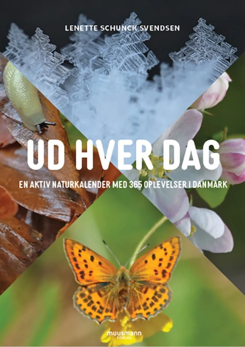 Ud hver dag