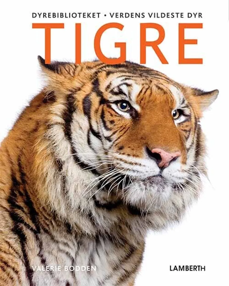 Verdens Vildeste Dyr - Tigre - Valerie Bodden - Bog