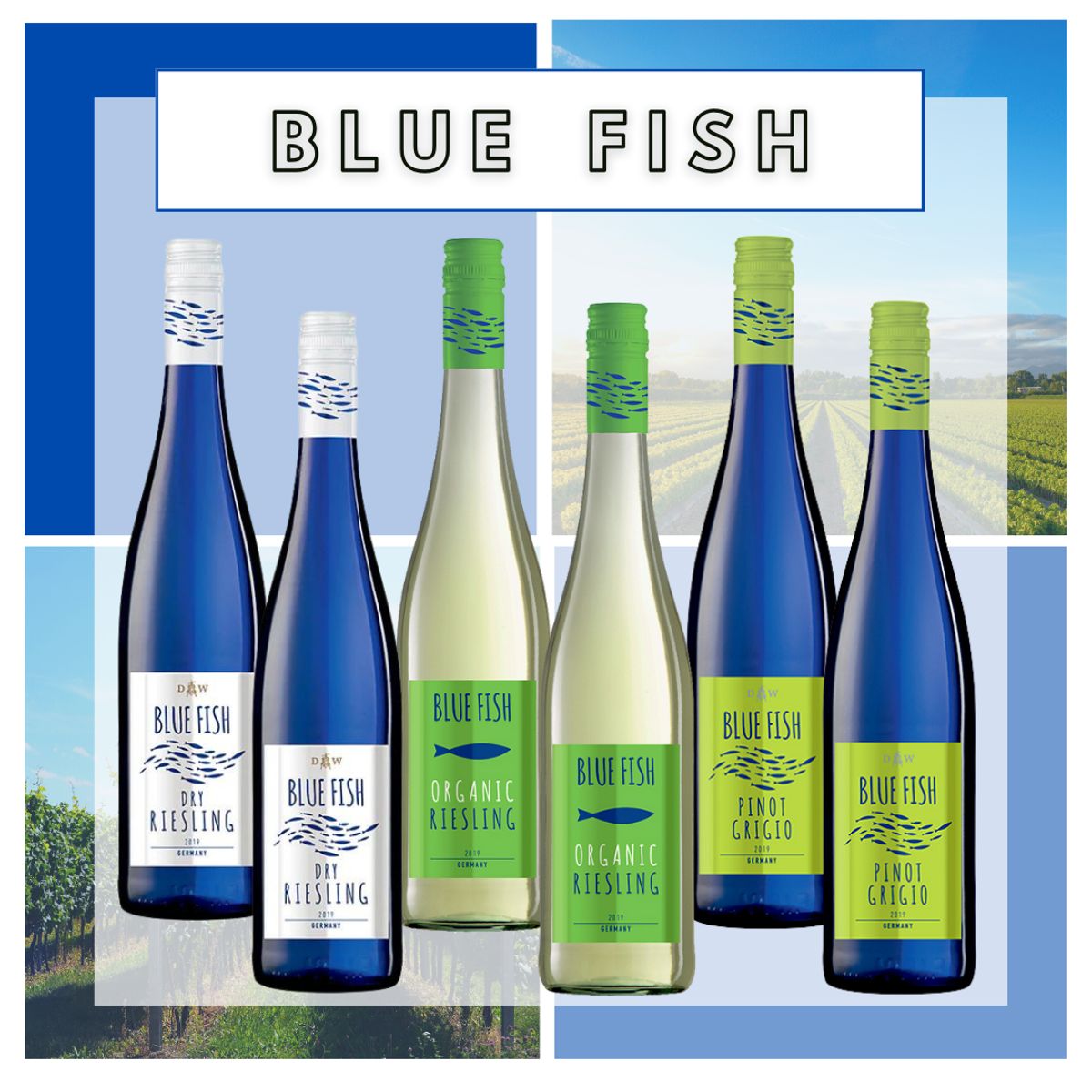 Vin smagekasse - Tysk hvidvin fra Blue Fish