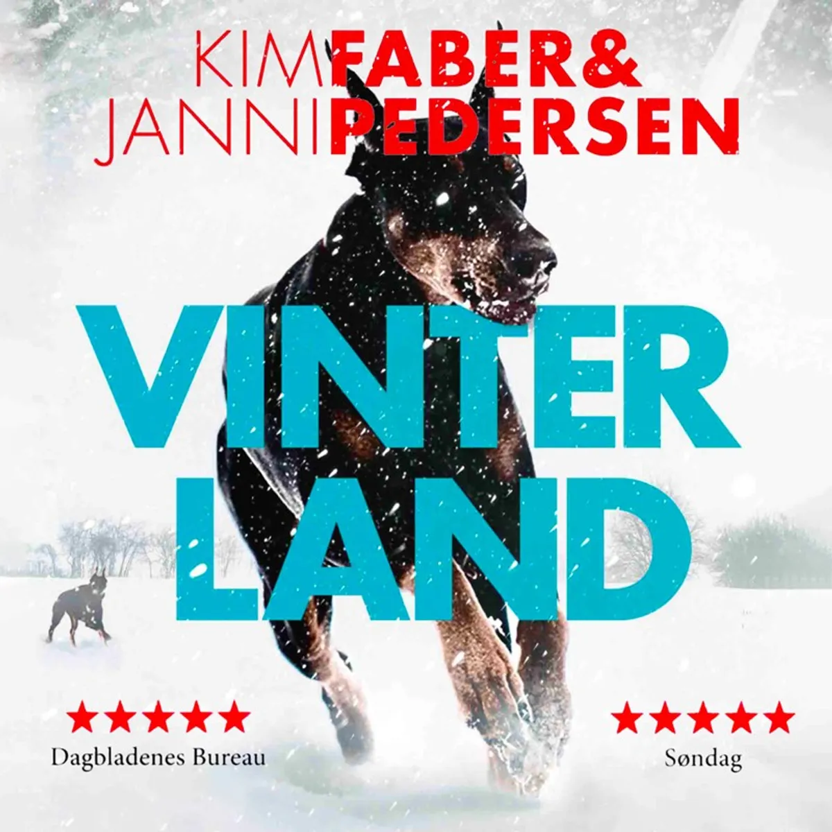 Vinterland