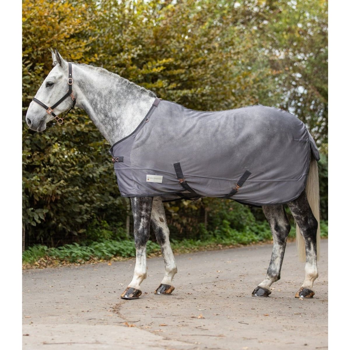 Waldhausen COMFORT FLY RUG WITH CROSSOVER STRAPS