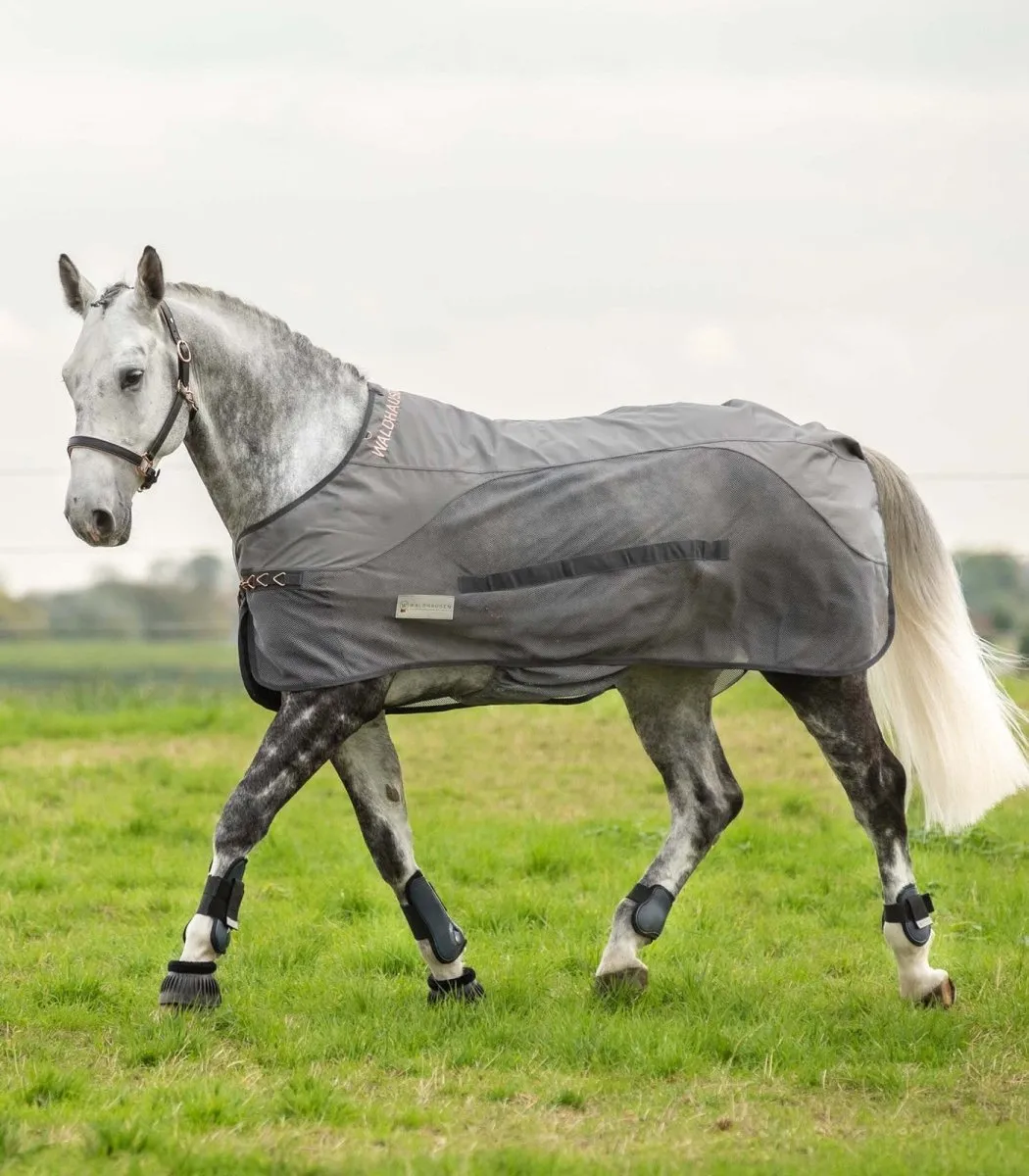 Waldhausen Comfort Rainsheet-Fly Rug