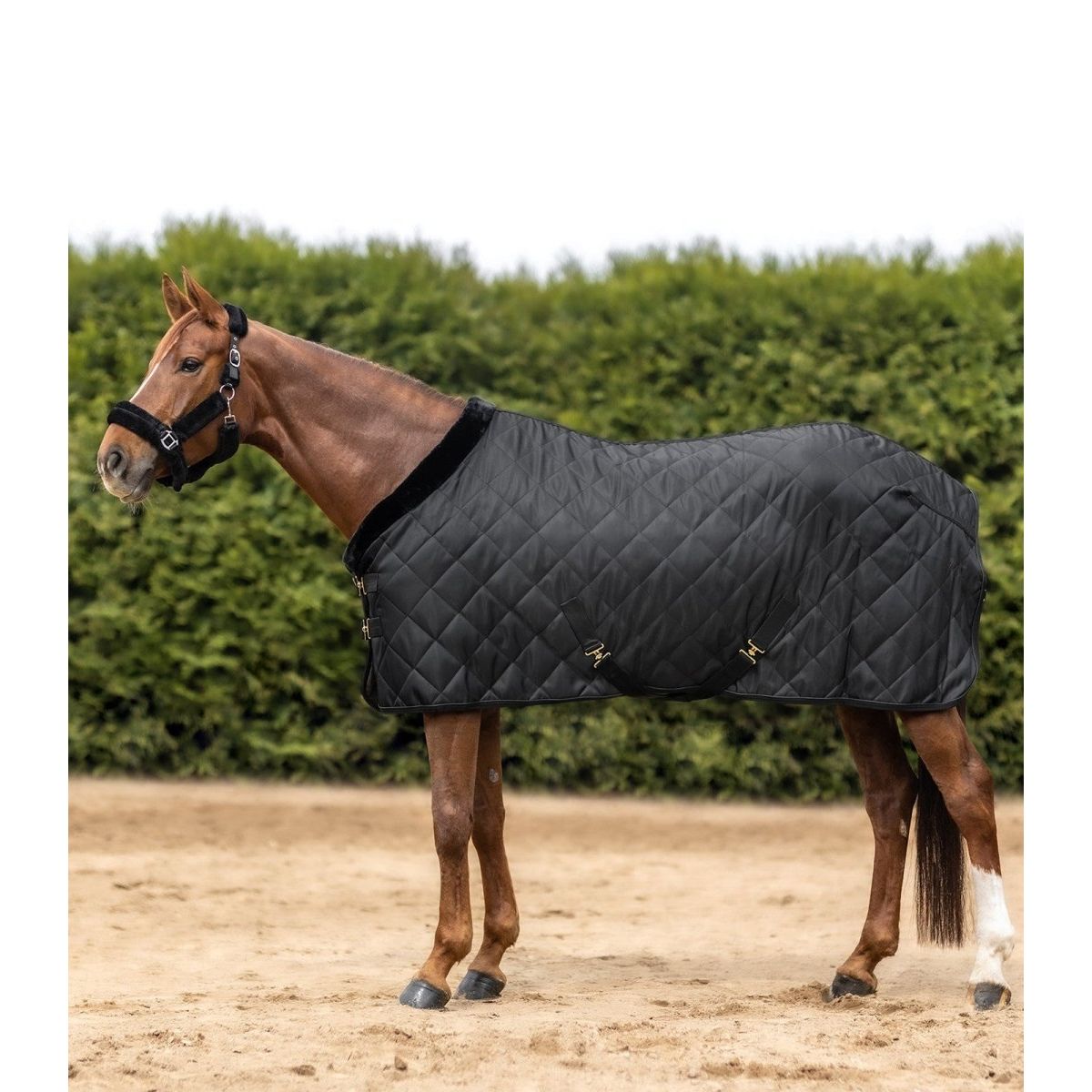 Waldhausen Exclusive Travel Rug