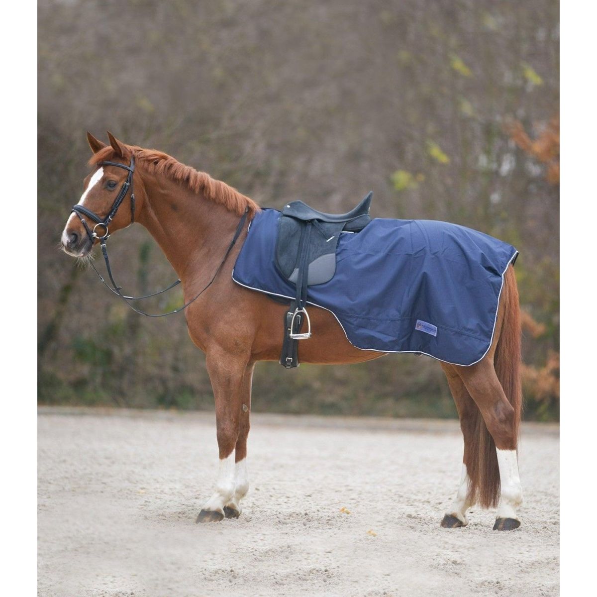 Waldhausen Exercise Sheet with Saddle Cut - Night blue