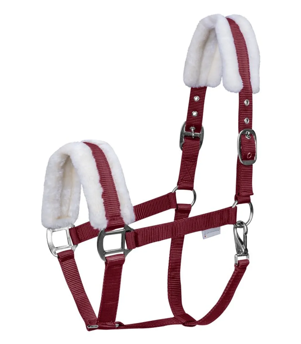 Waldhausen First Halter - Bordeaux