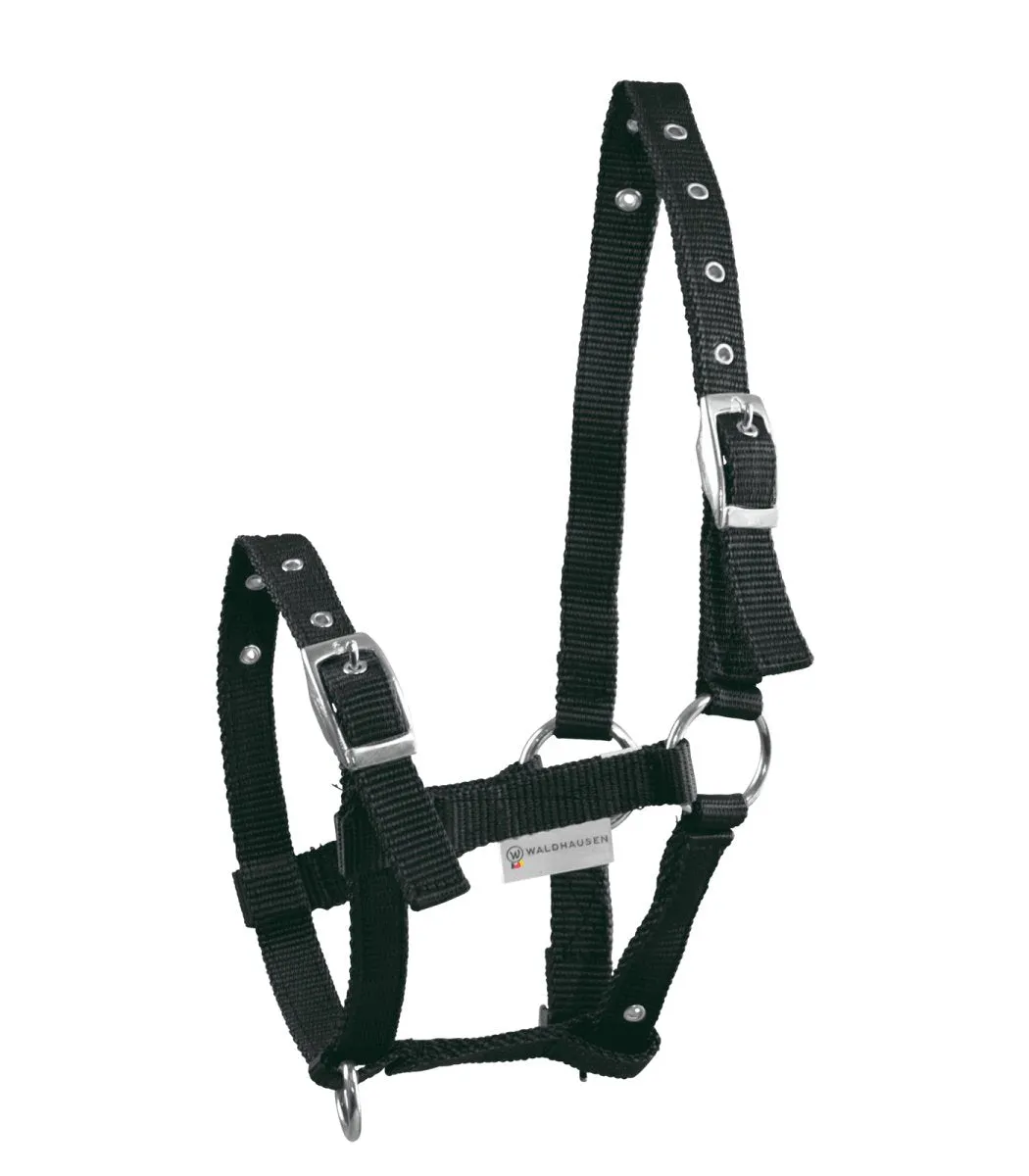 Waldhausen Foal halter Triple - Sort