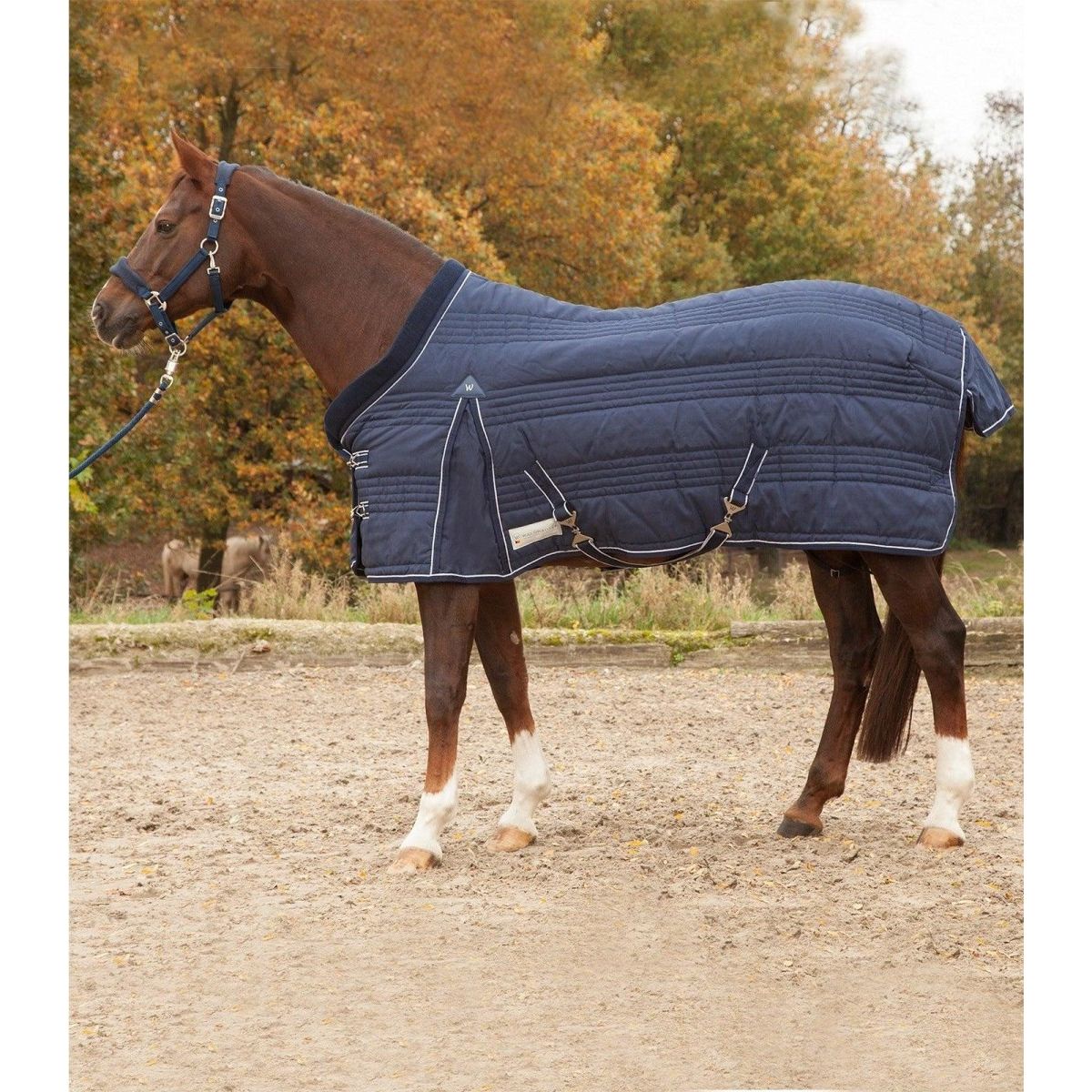 Waldhausen Stable Rug Comfort Line, 100 g - Night blue