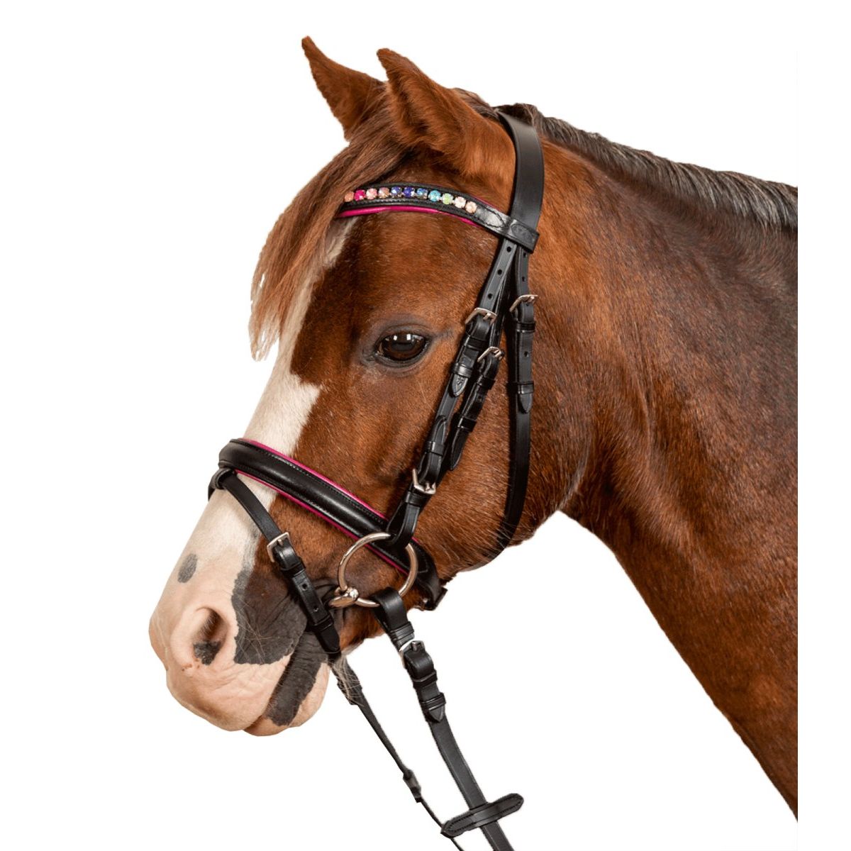 Waldhausen STAR Bridle Pinky comb.noseband - Sort