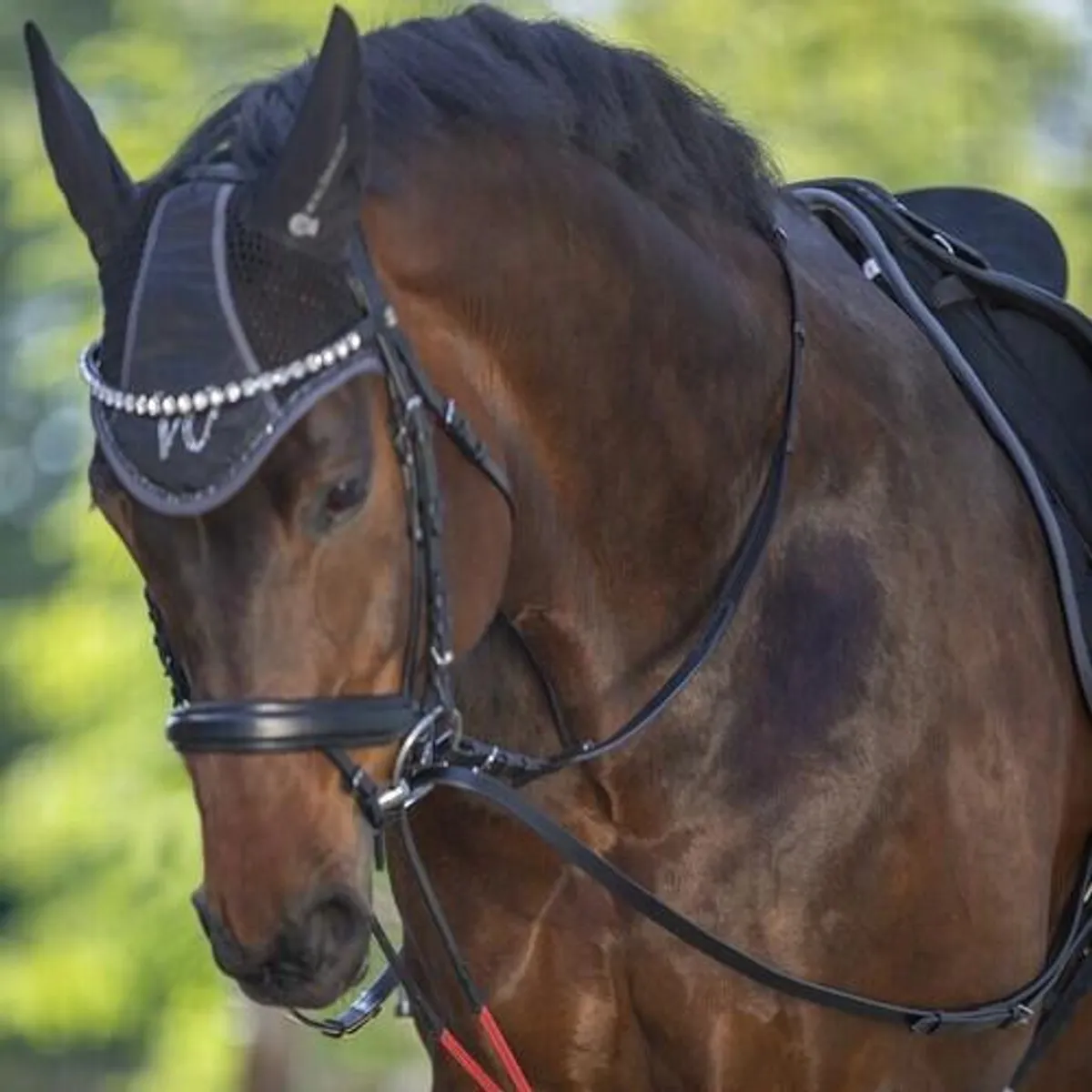 Waldhausen W-train indspændingstøjler - Pony