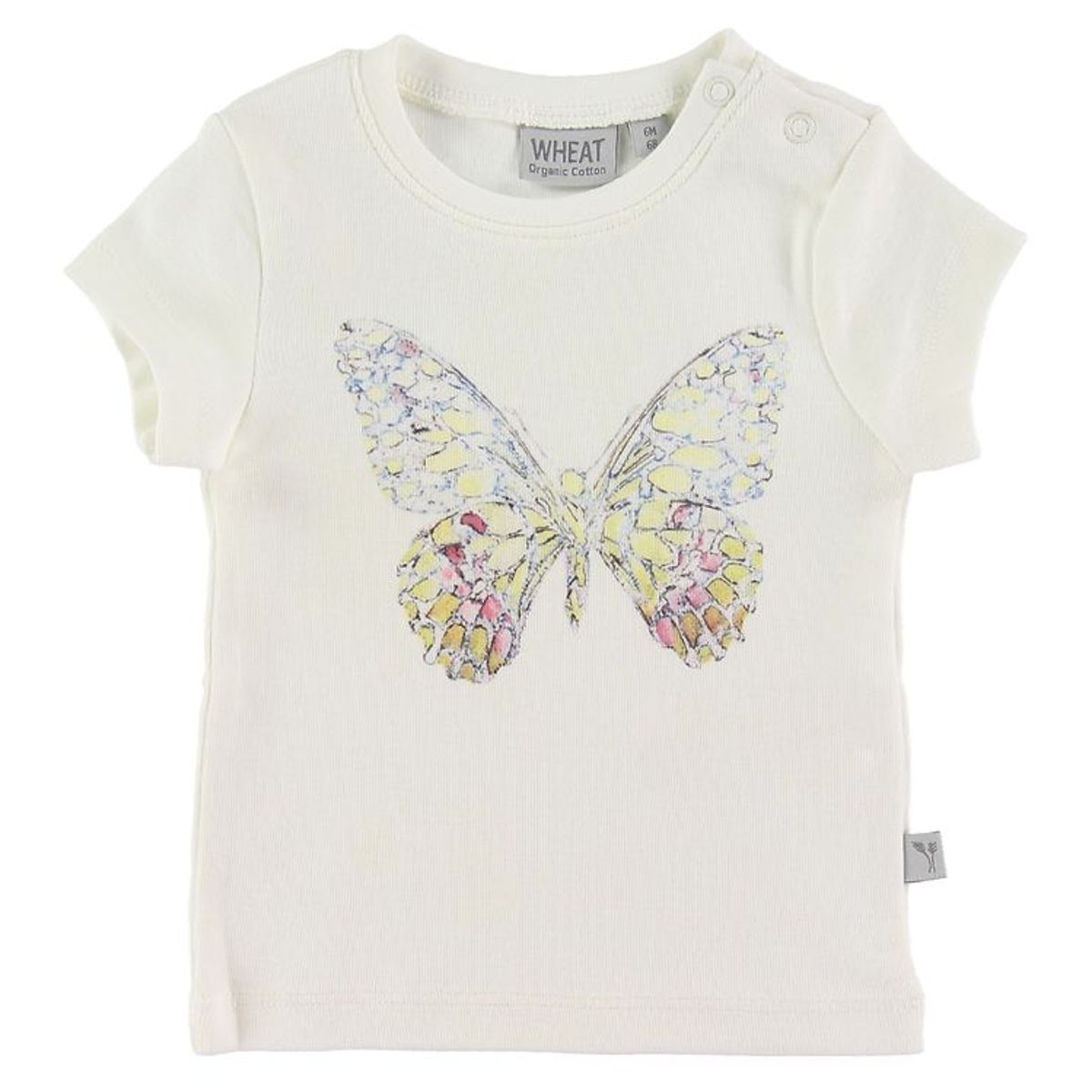 Wheat T-shirt - Butterfly - Ivory