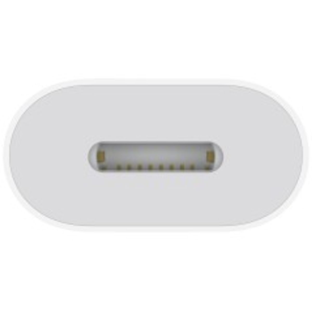 Apple USB-C til Lightning adapter