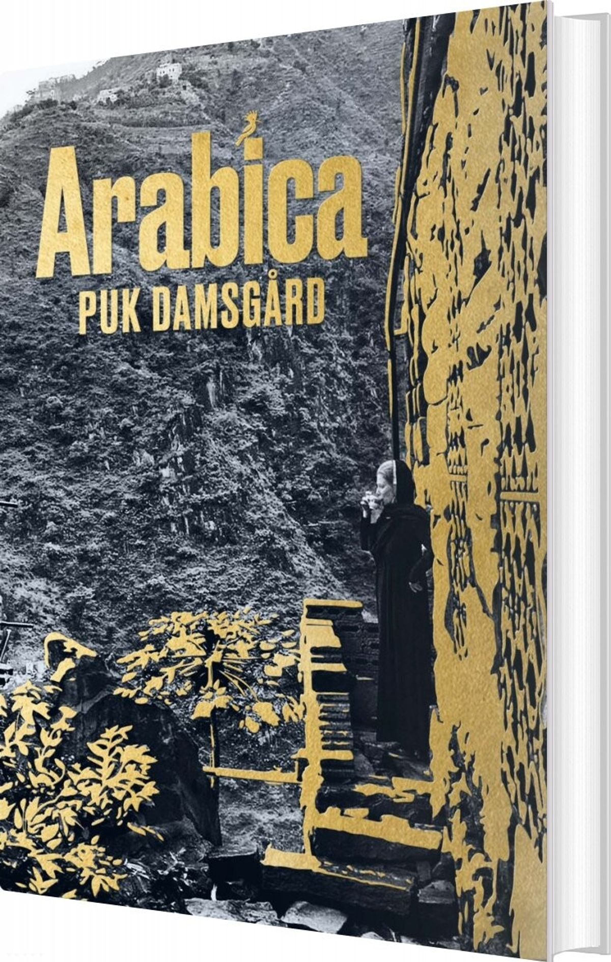 Arabica - Puk Damsgård - Bog