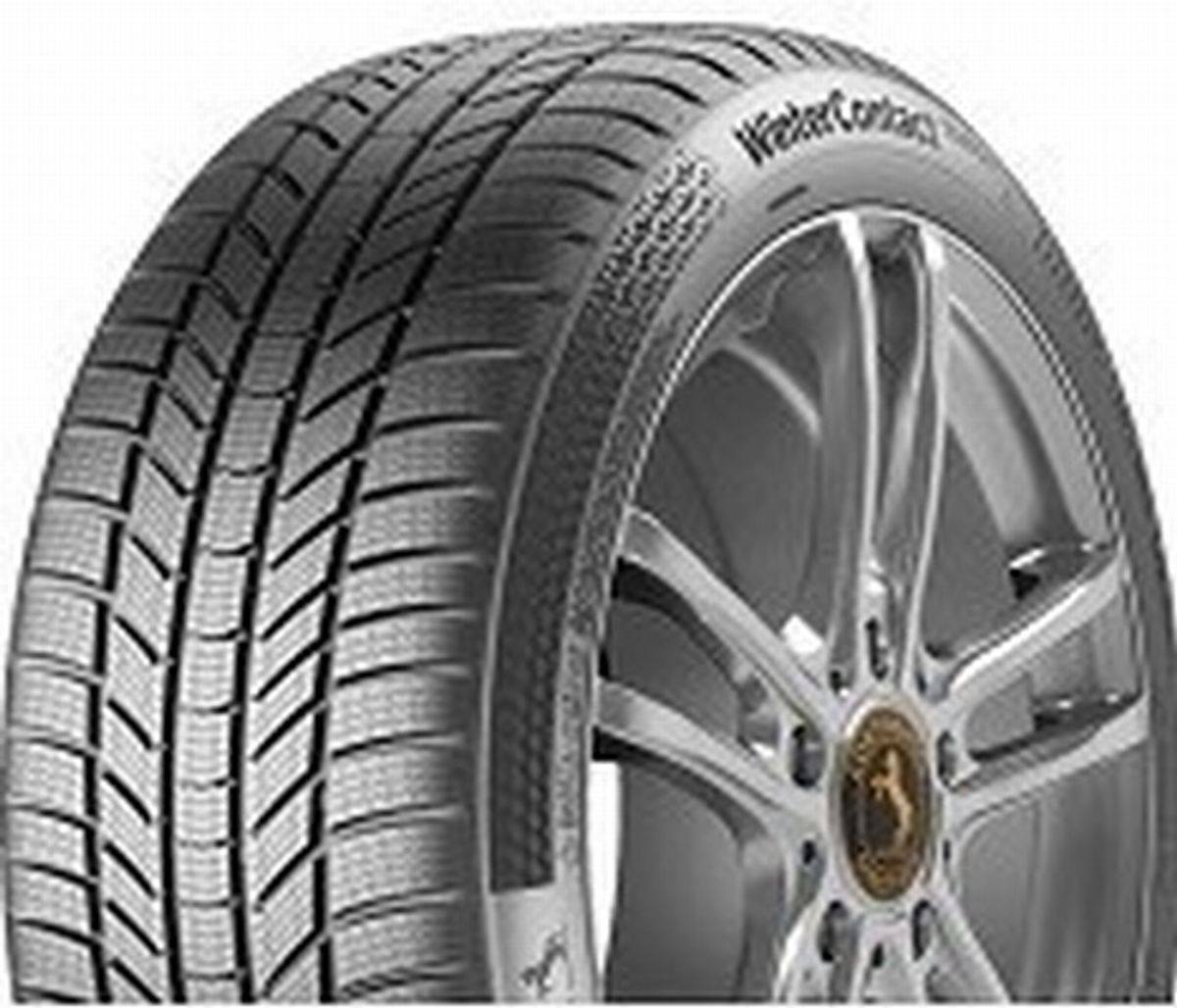 Continental WINTER TS 870 P 225/55R17