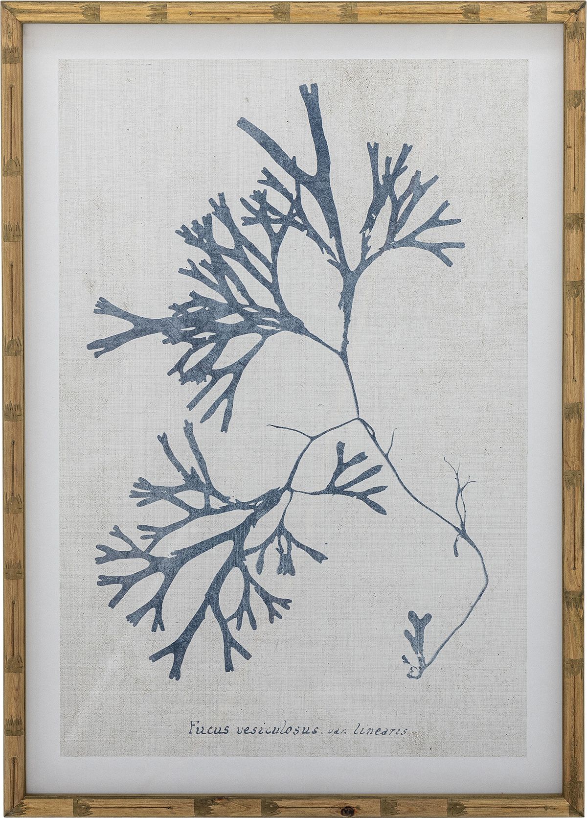 Creative Collection - Sumner Illustration Med Ramme - Natur - Fyrretræ