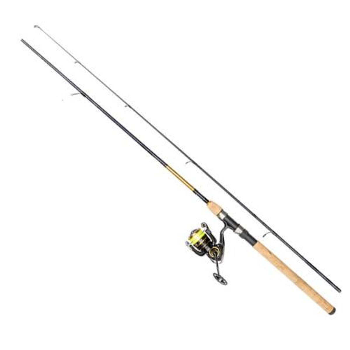 Daiwa Gold Rush LT 2-delt Sæt inkl. Line