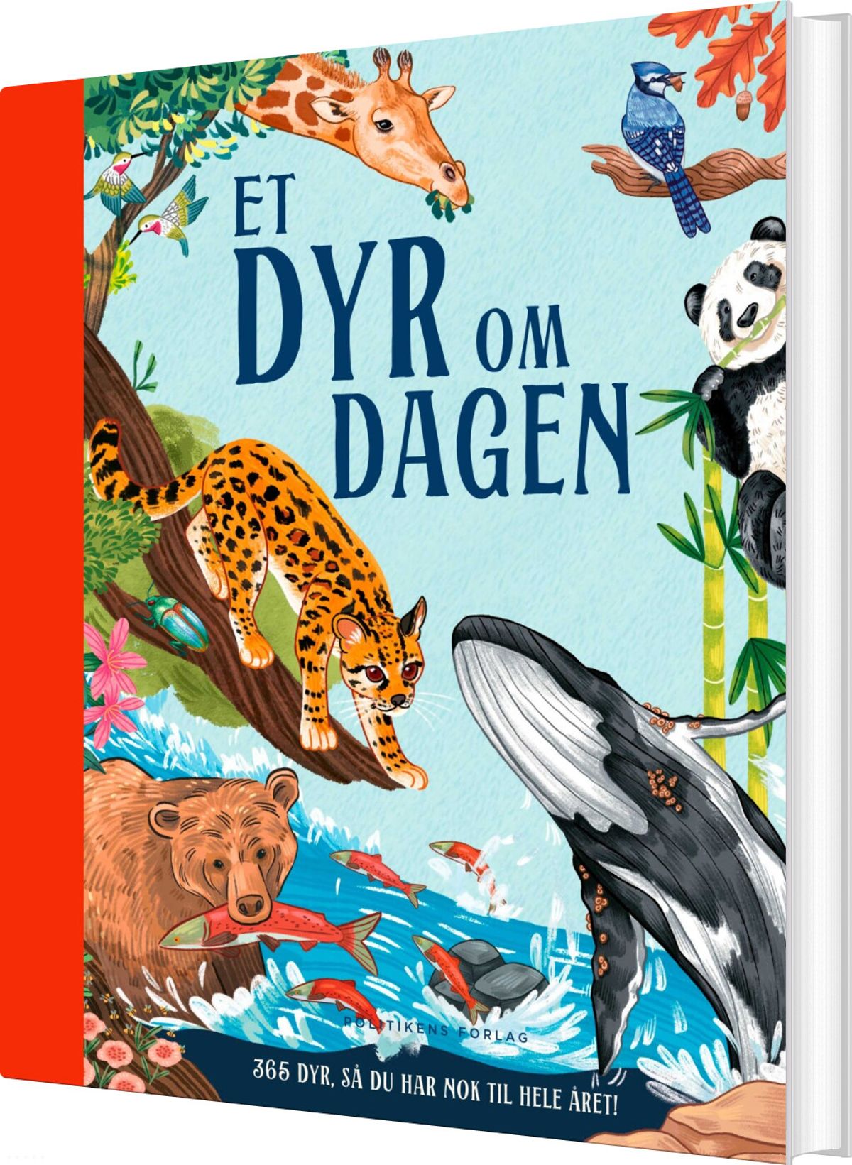 Et Dyr Om Dagen - Miranda Smith - Bog