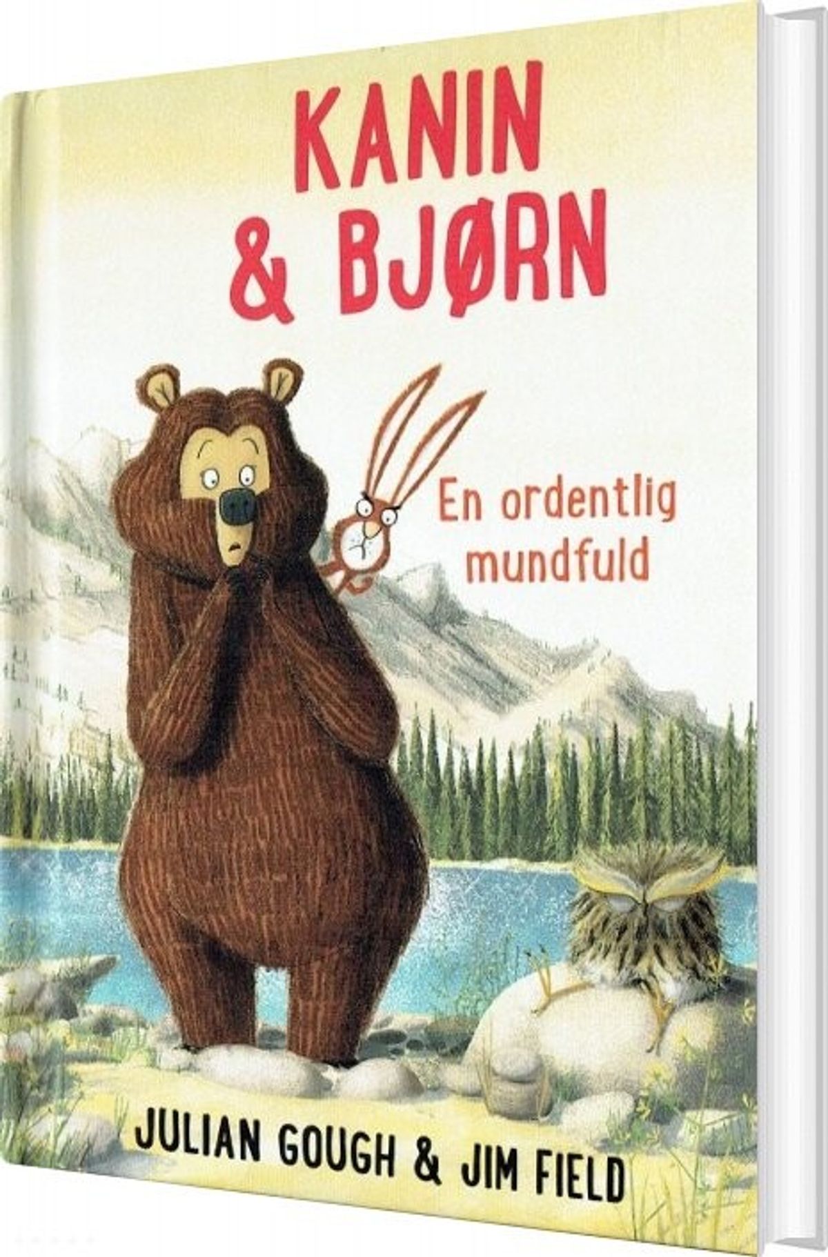 Kanin Og Bjørn 3 - Julian Gough - Bog