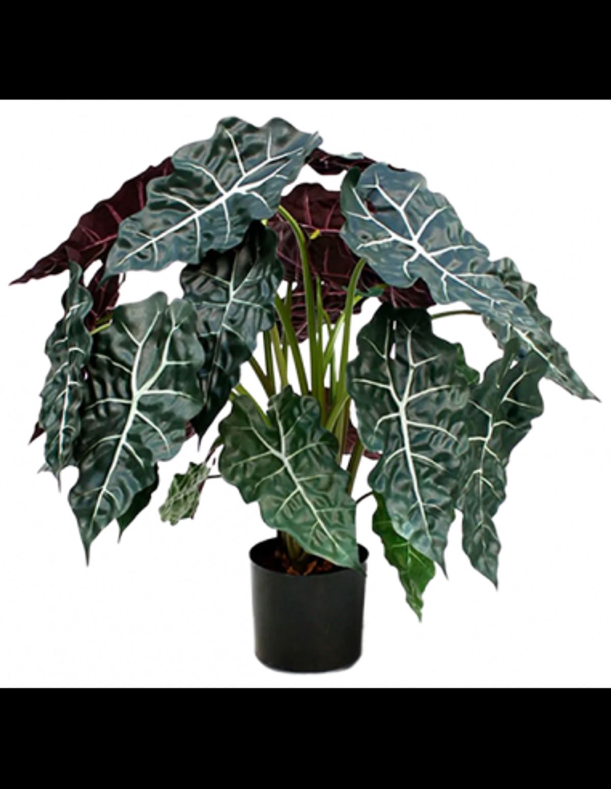 Kunstig Alocasia Polly plante H75 cm