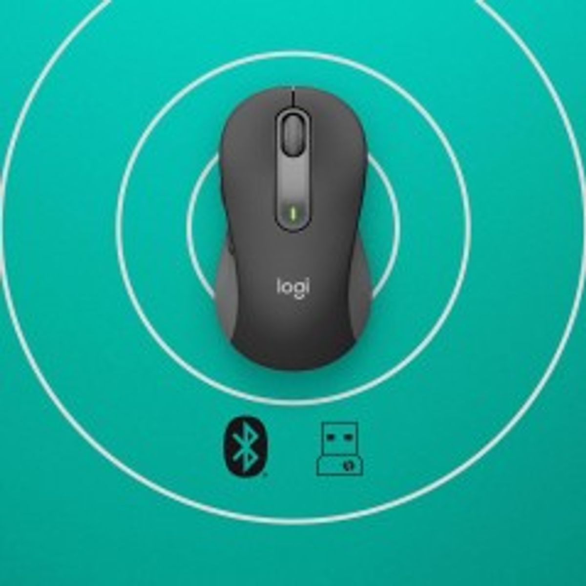 Logitech Signature M650 L for Business Trådløs Sort