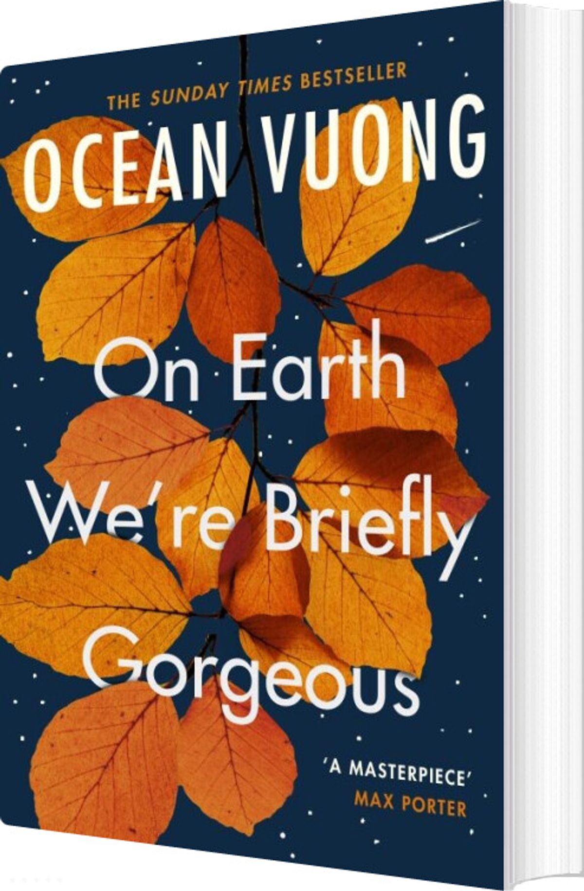 On Earth We're Briefly Gorgeous - Ocean Vuong - English Book