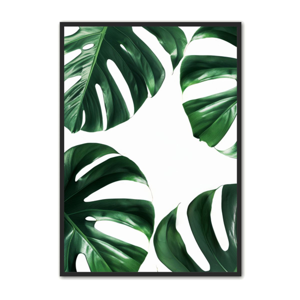 Plante Plakat 21