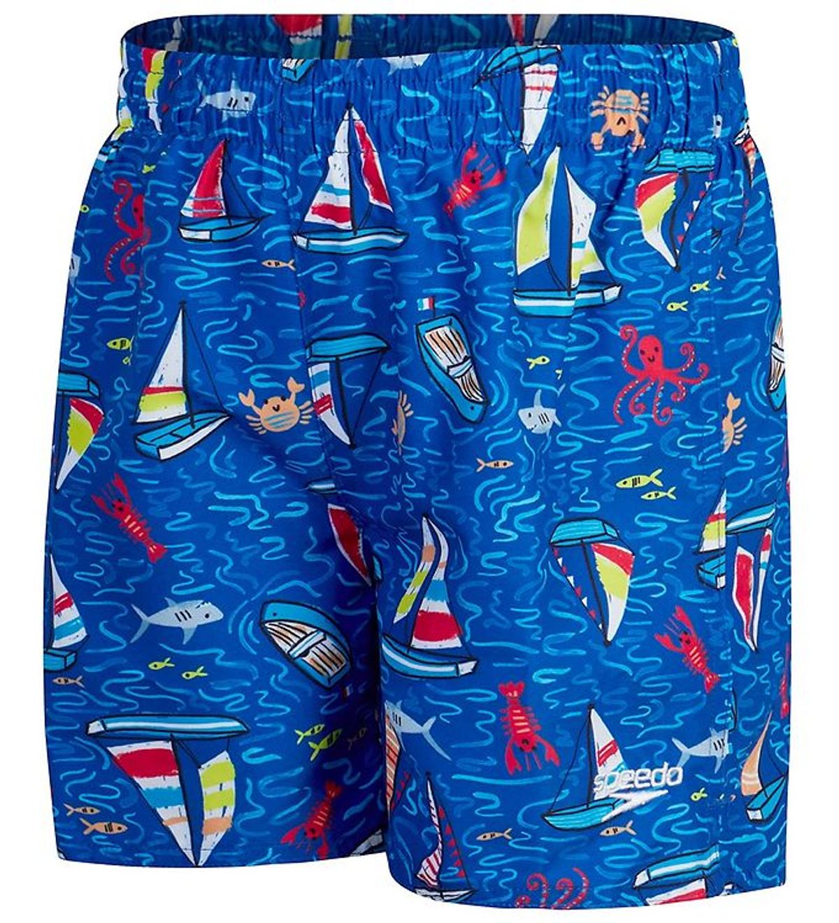 Speedo Badeshorts - Watershort - Blue/Red