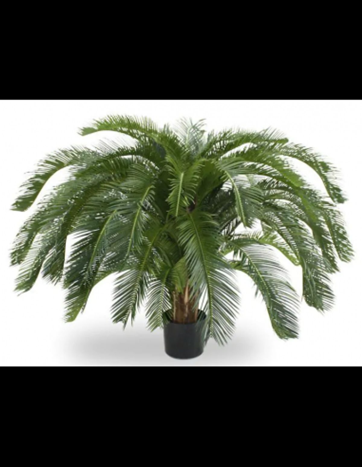 Stor kunstig Cycas palme H100 cm - Grøn