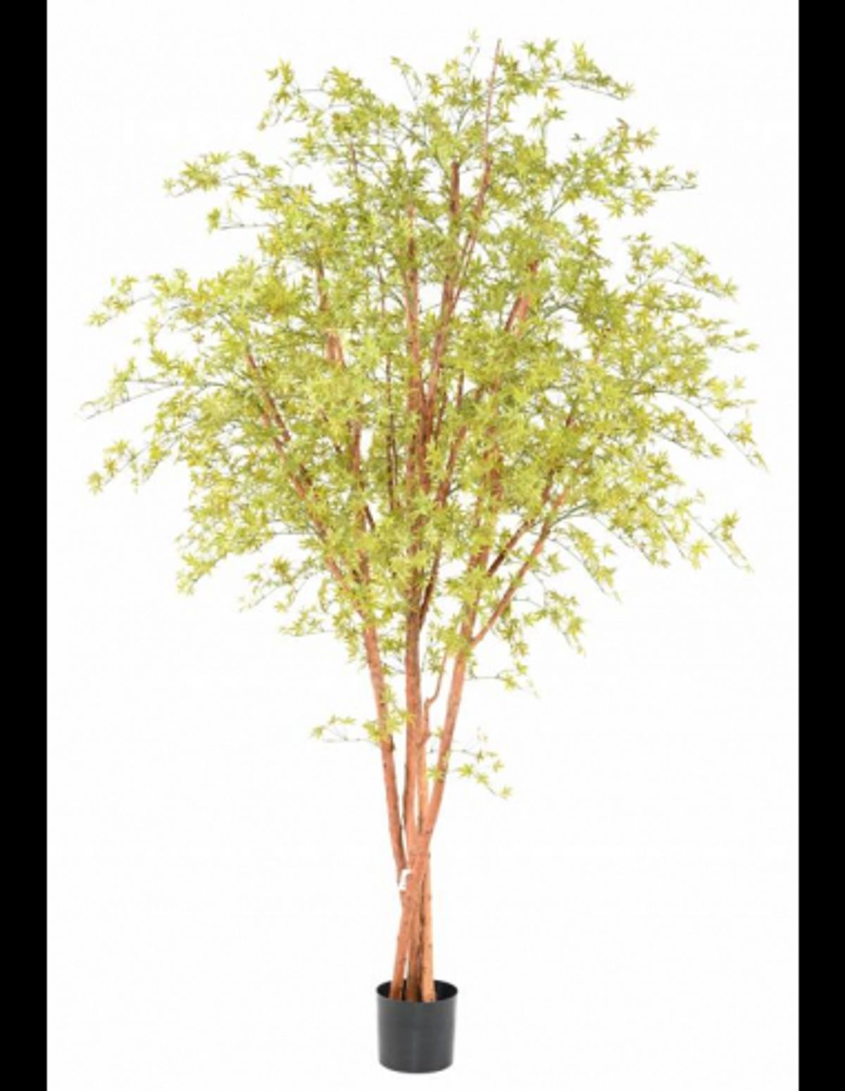 Stort Aralia kunstigt træ H280 cm - Grøn