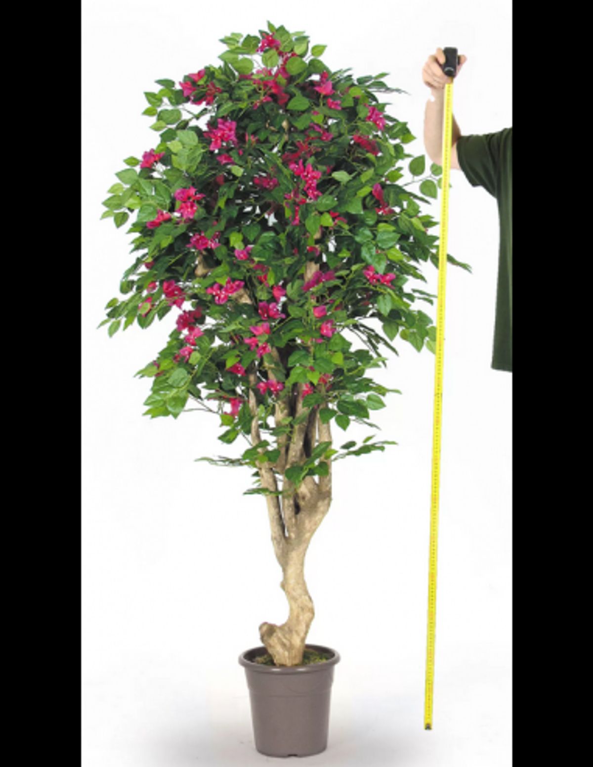 Stort kunstigt Bougainvillea træ H200 cm