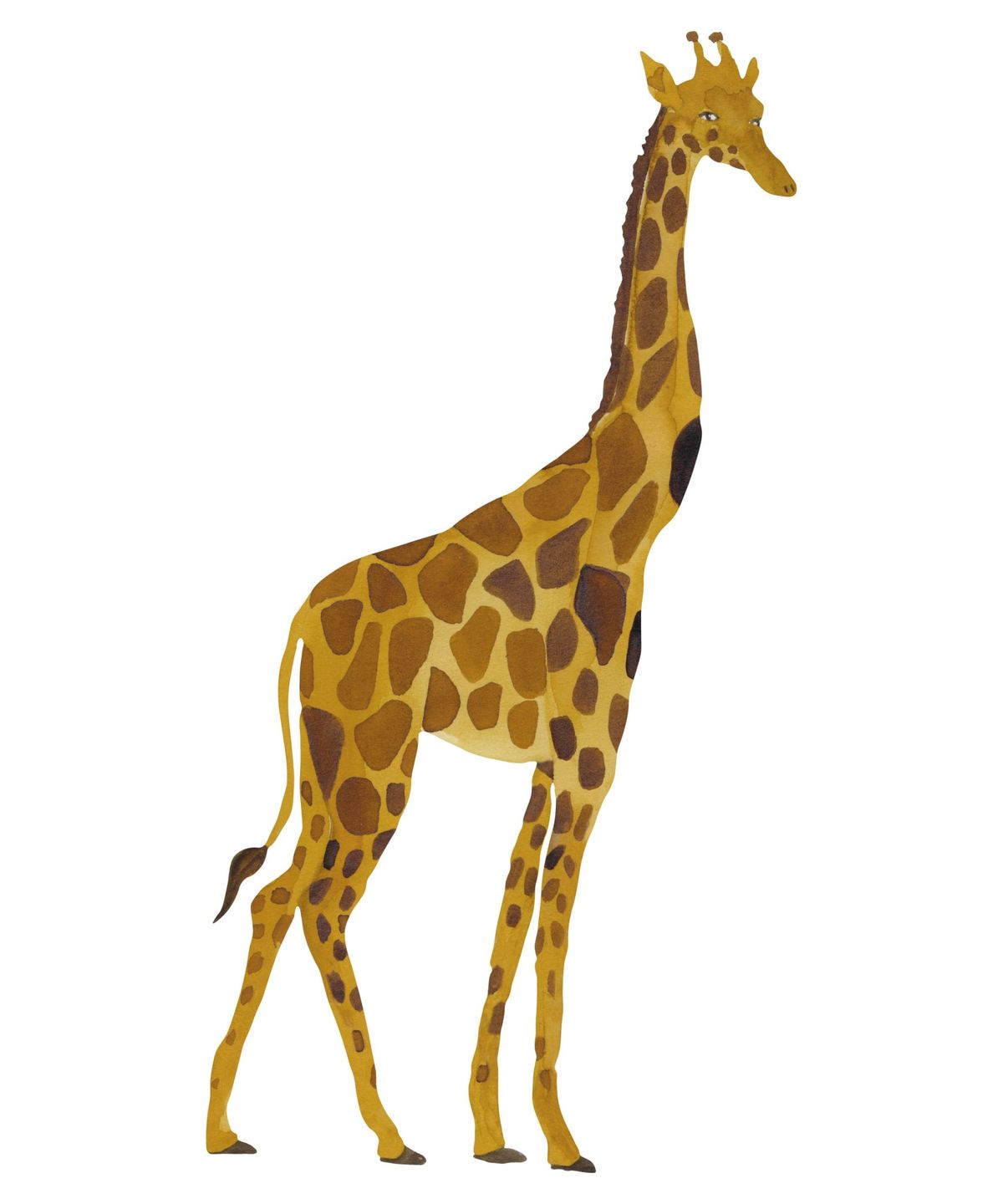 Wallsticker Giraffe - Multi