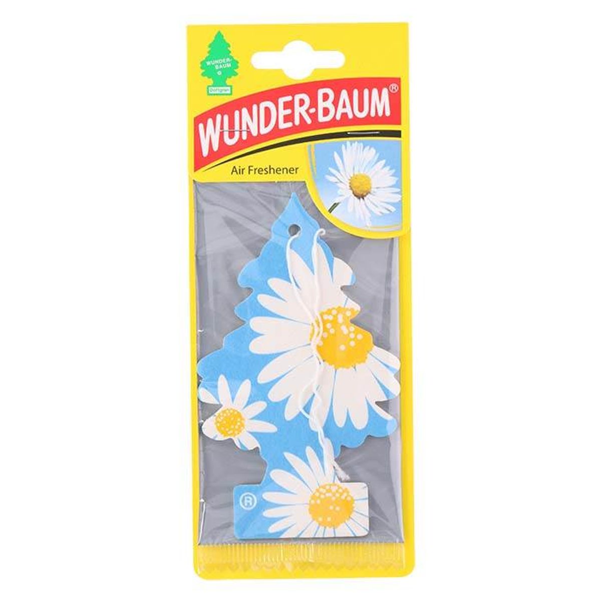 Wunderbaum Daisy Flower