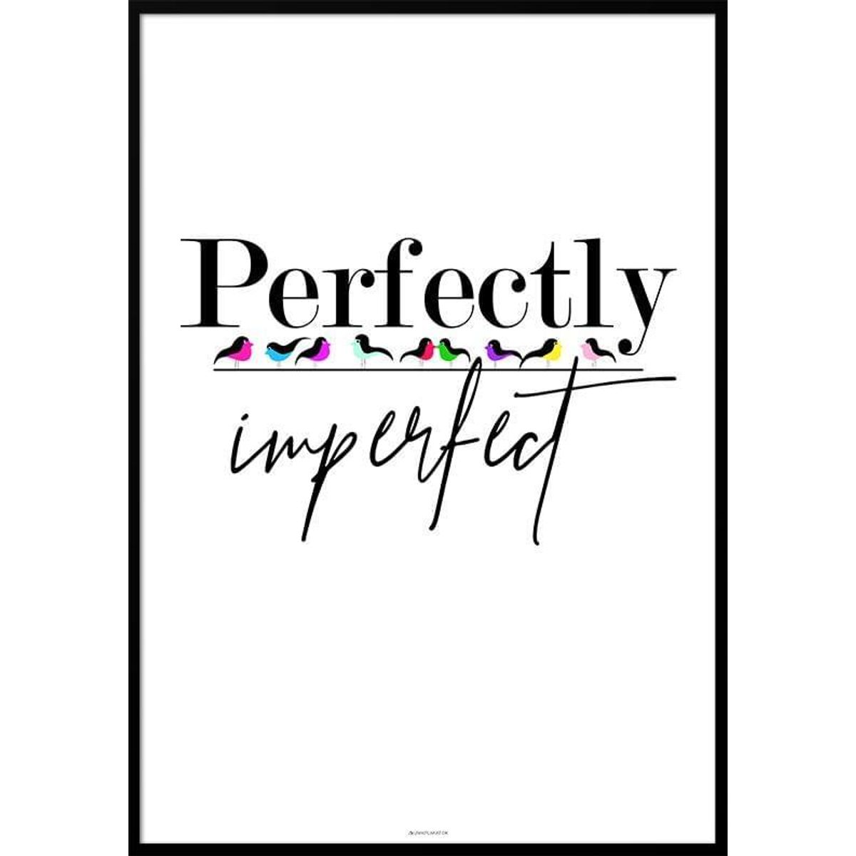 Perfectly imperfect - Birds plakat