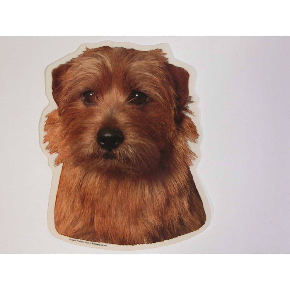 Norfolk Terrier, hv. Vælg: klistermærke, nøglering, broche, slipsenål, mm