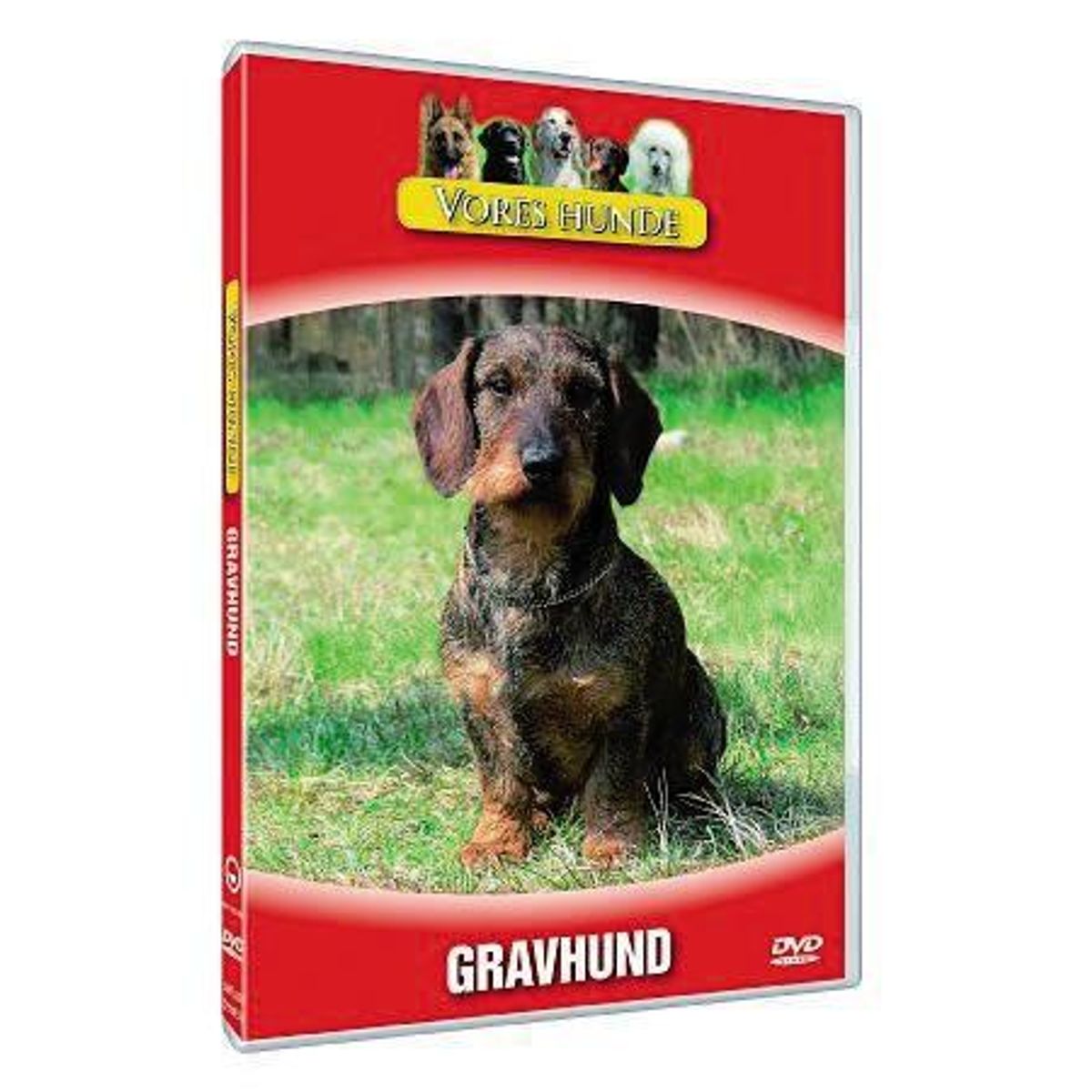 Vores hunde - Gravhund