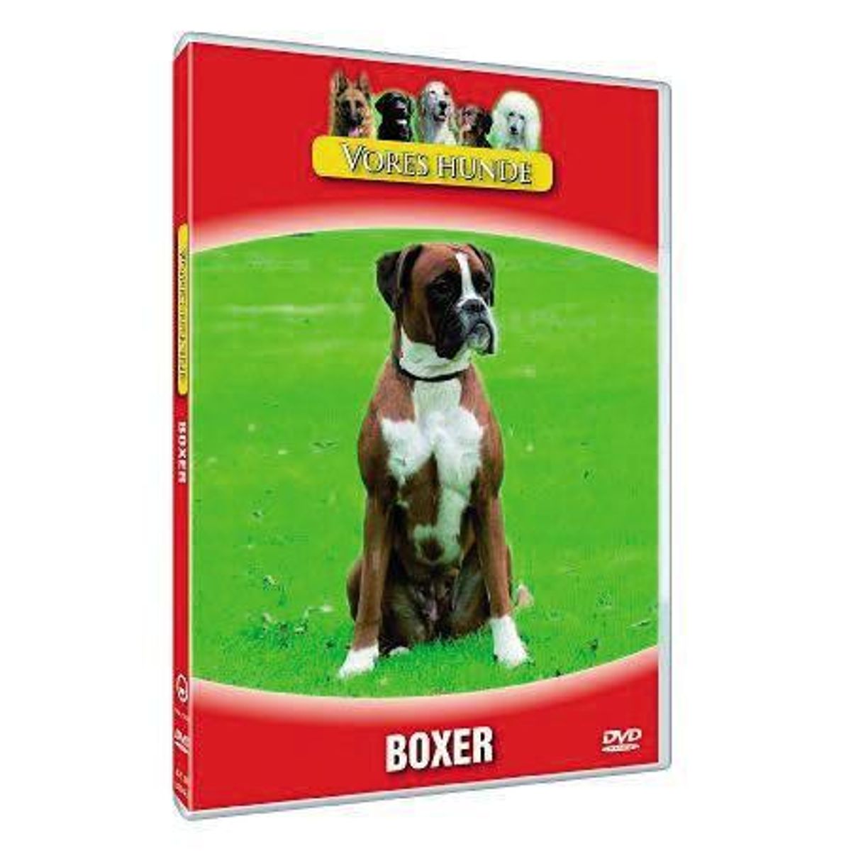 Vores hunde - Boxer