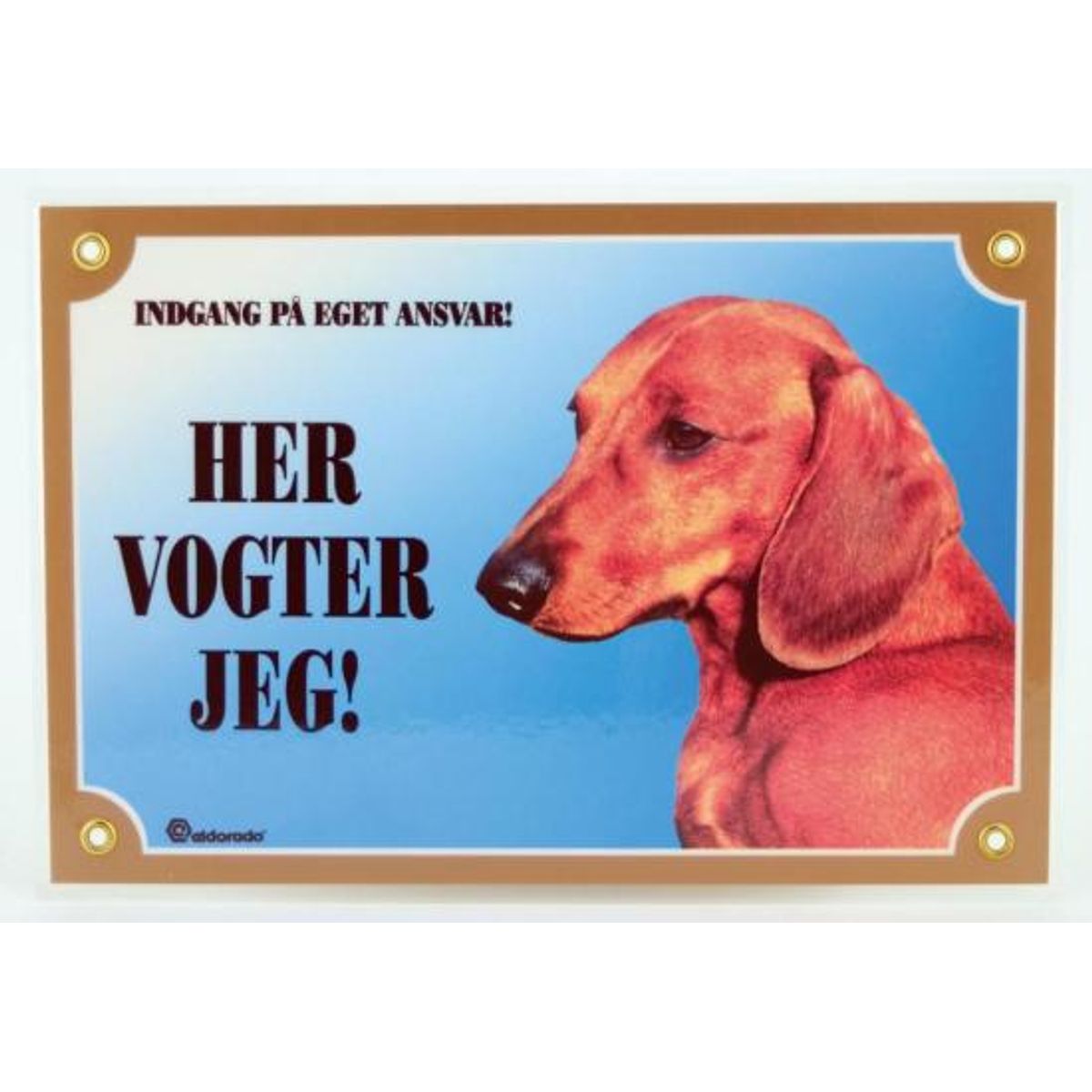 Her vogter jeg Korthåret Gravhund