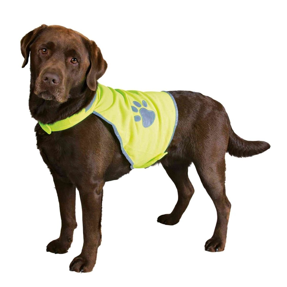 Sikkerhedsvest til hund, i neon grøn/gul med reflex.