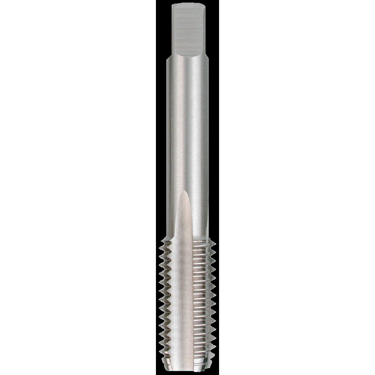 Bundtap DIN 352 HSS M24Ã3,0mm DK