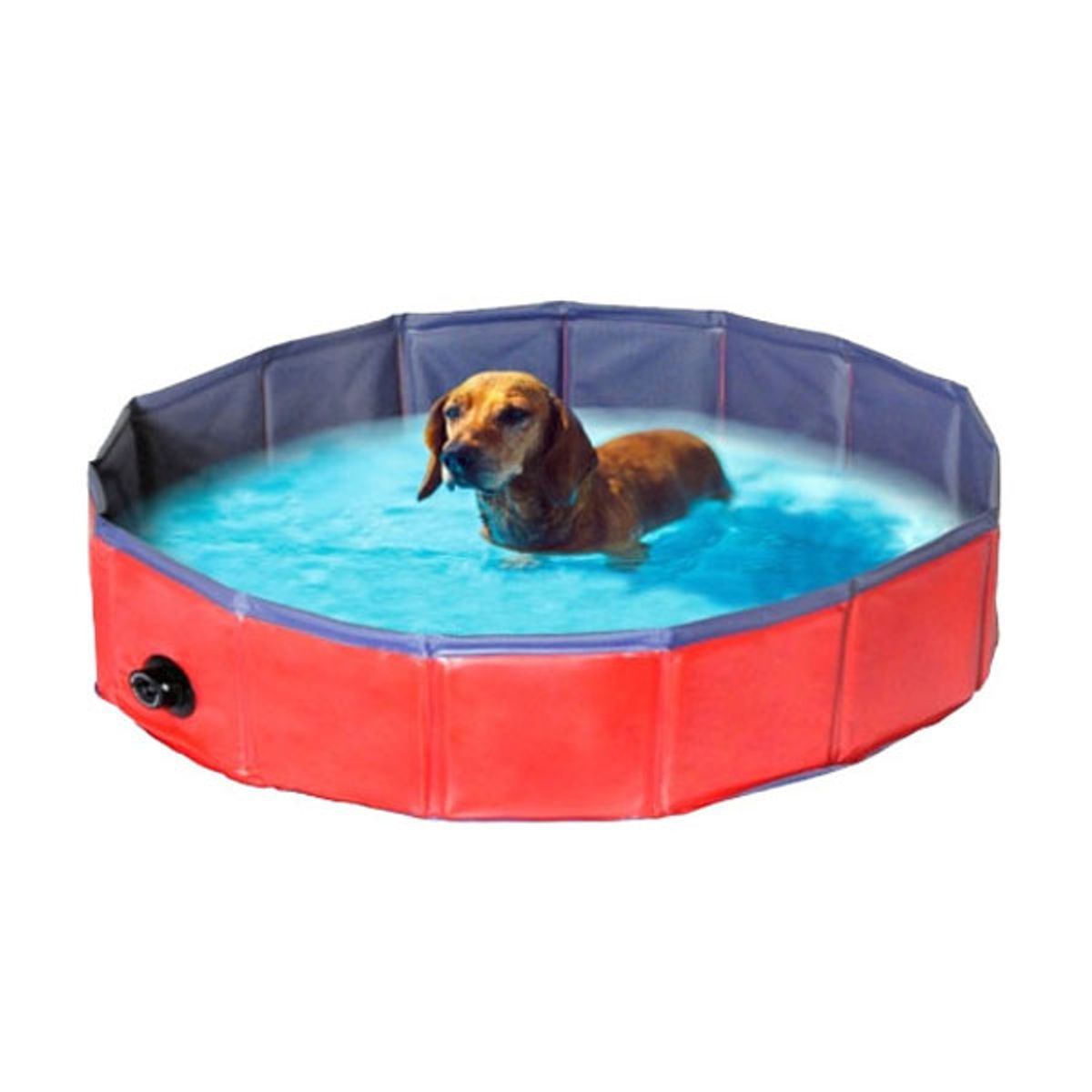 Hunde swimming Pool-L