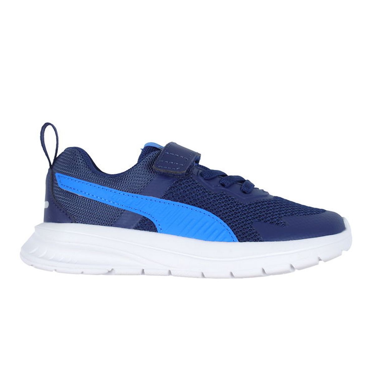 Puma Sko - Evolve Run Mesh AC+ PS - Persian Blue/Racing Blue