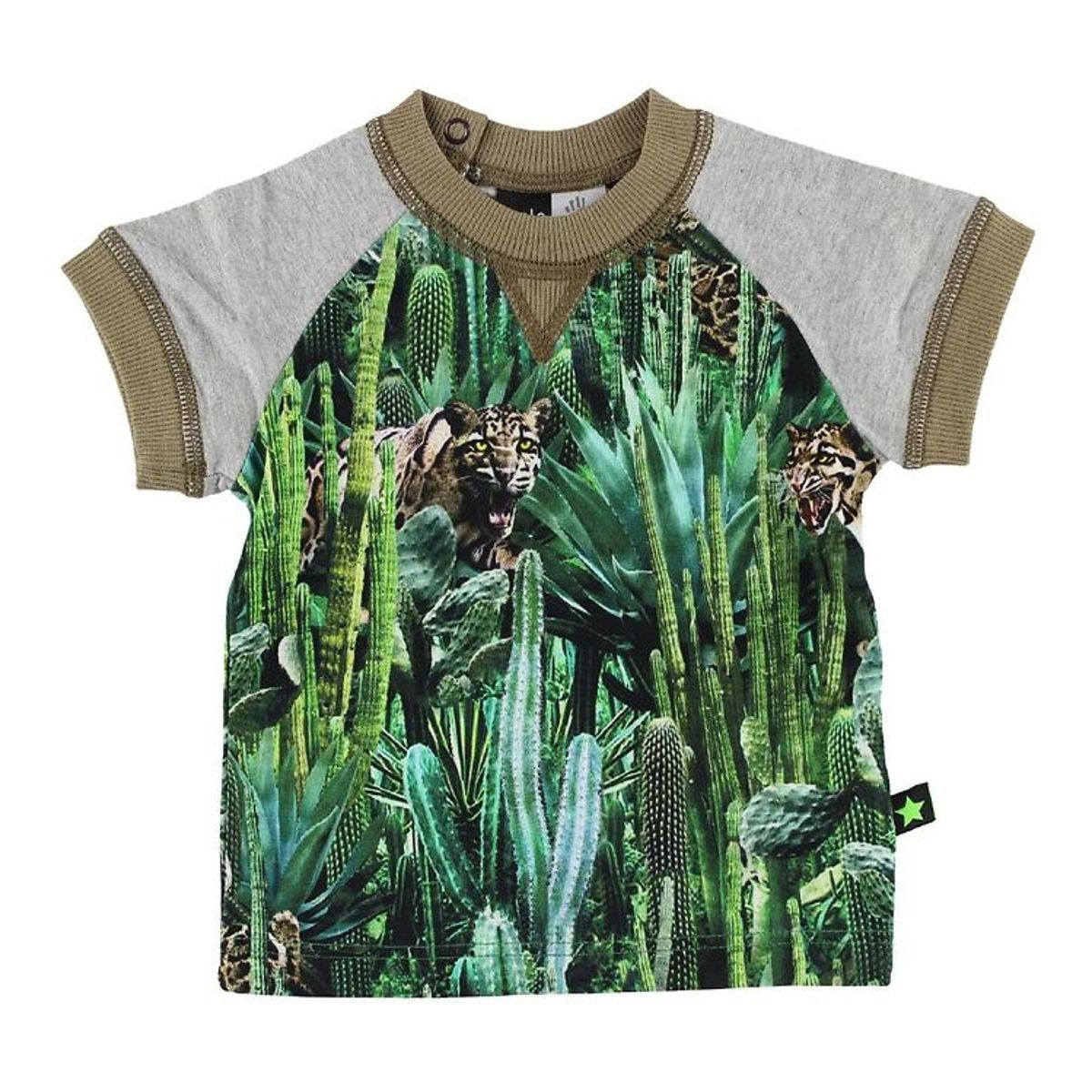 Molo T-shirt - Eton - Cactus Bite